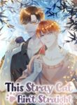 Read Manga This Stray Cat Ain’t Straight at MANHWA68
